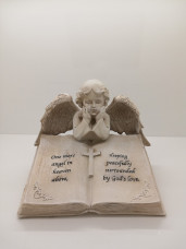 9555-Angel on Book 