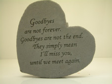 8602-Goodbyes are not forever