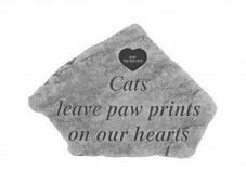 53620 - Cats leave paw prints
